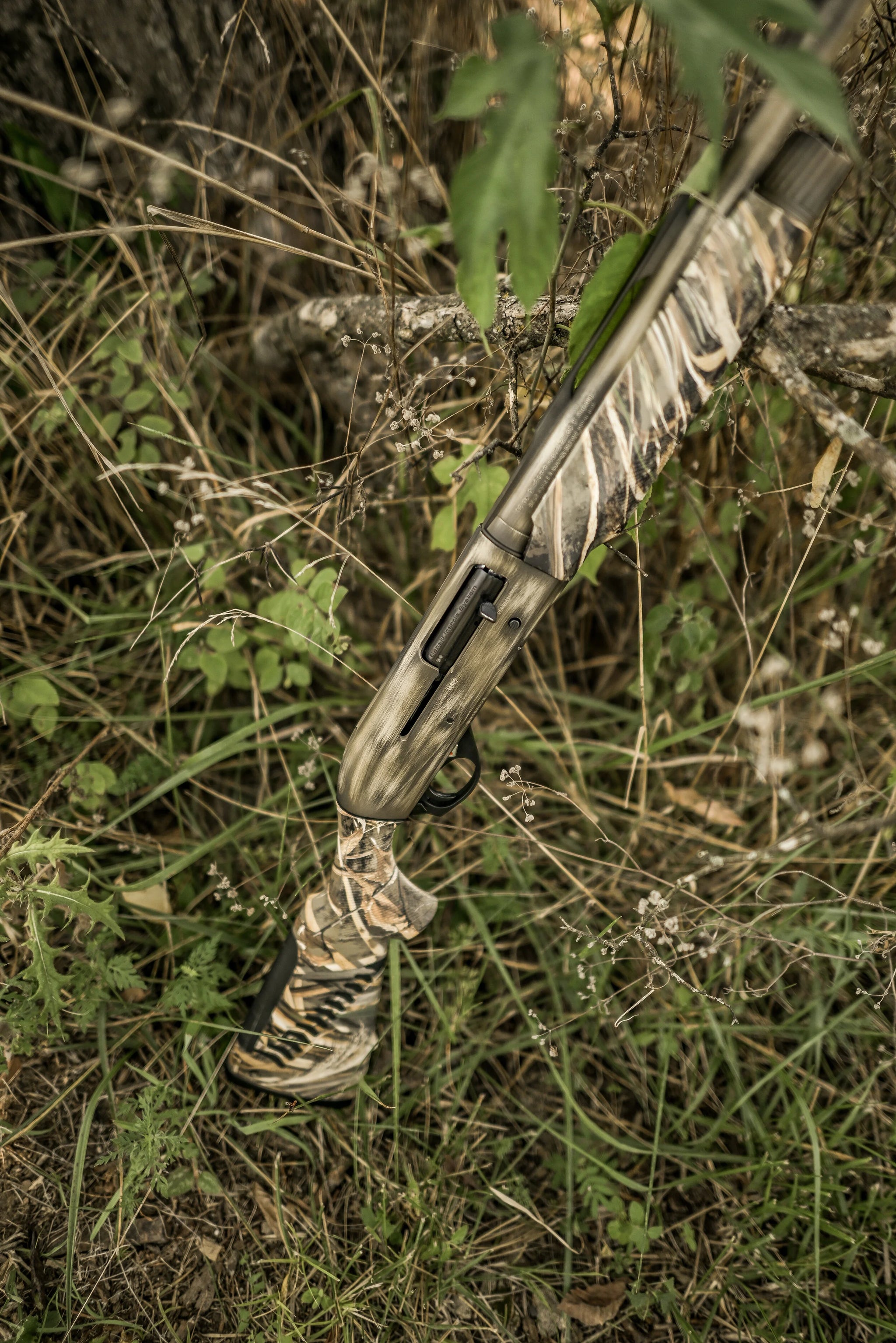 DSC_9633.jpg