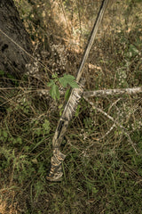 DSC_9637.jpg