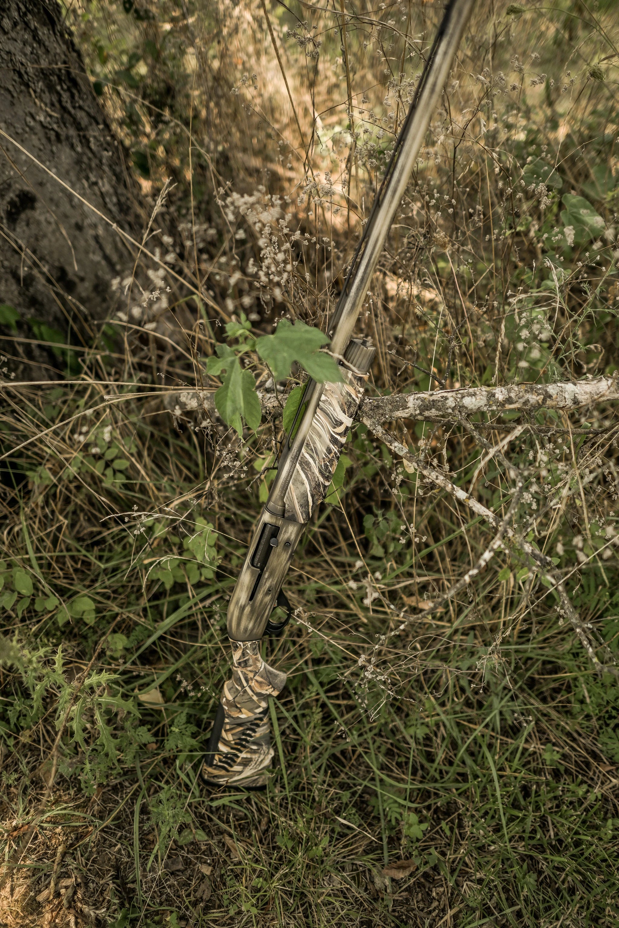 DSC_9637.jpg