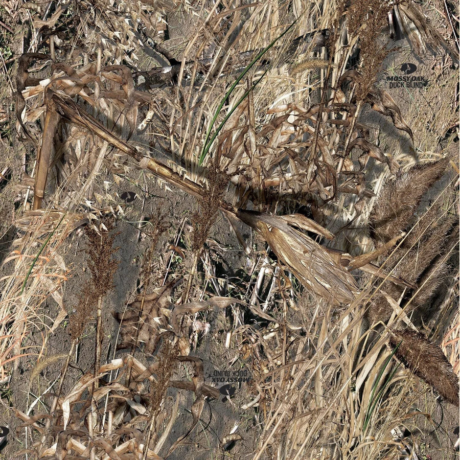 Duck Blind