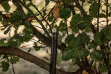 HCH_0288.jpg
