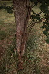 HCH_0834.jpg