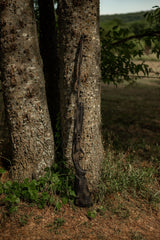 HCH_0949.jpg
