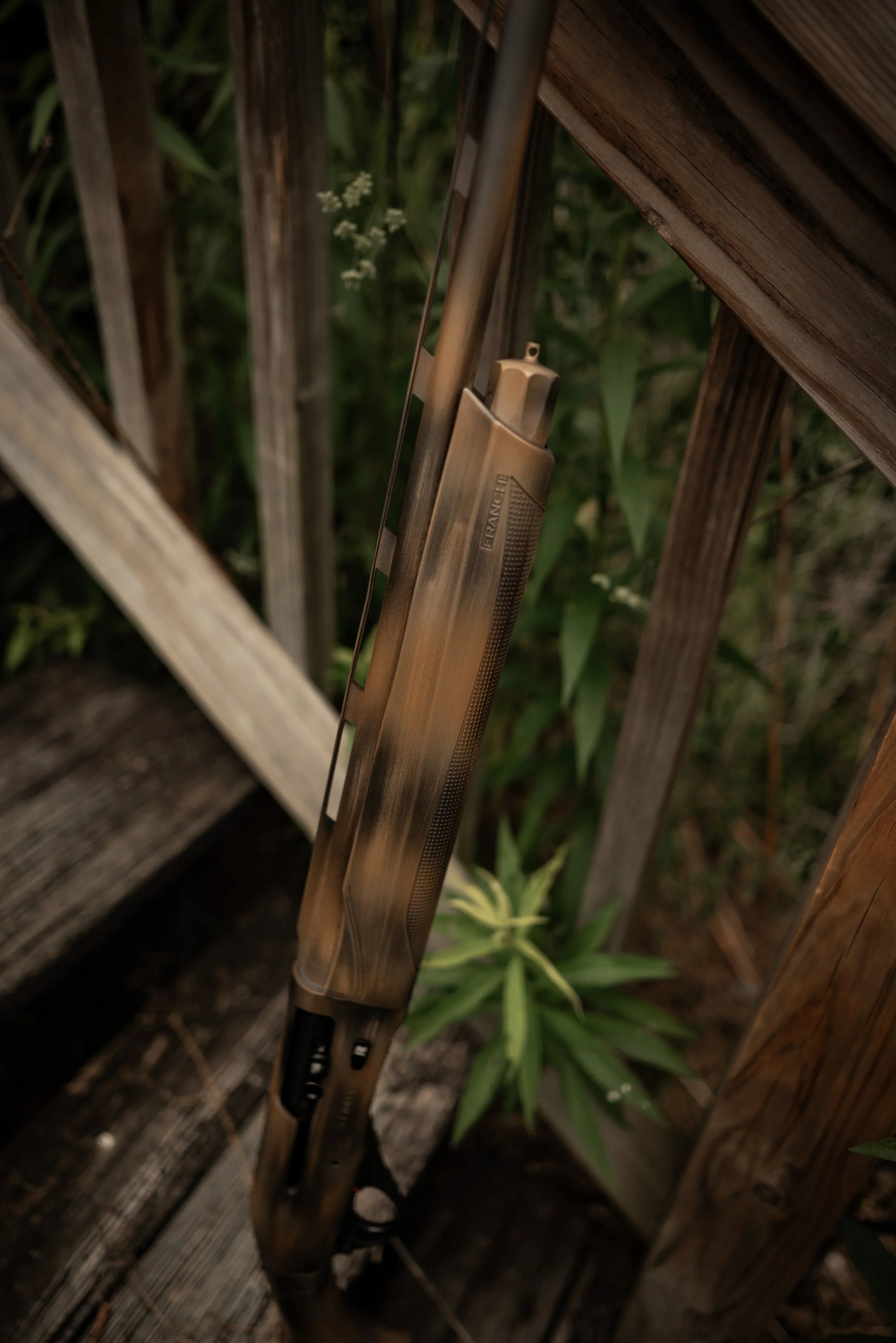 HCH_0980.jpg