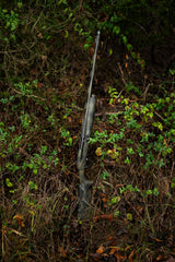HCH_3643-2.jpg