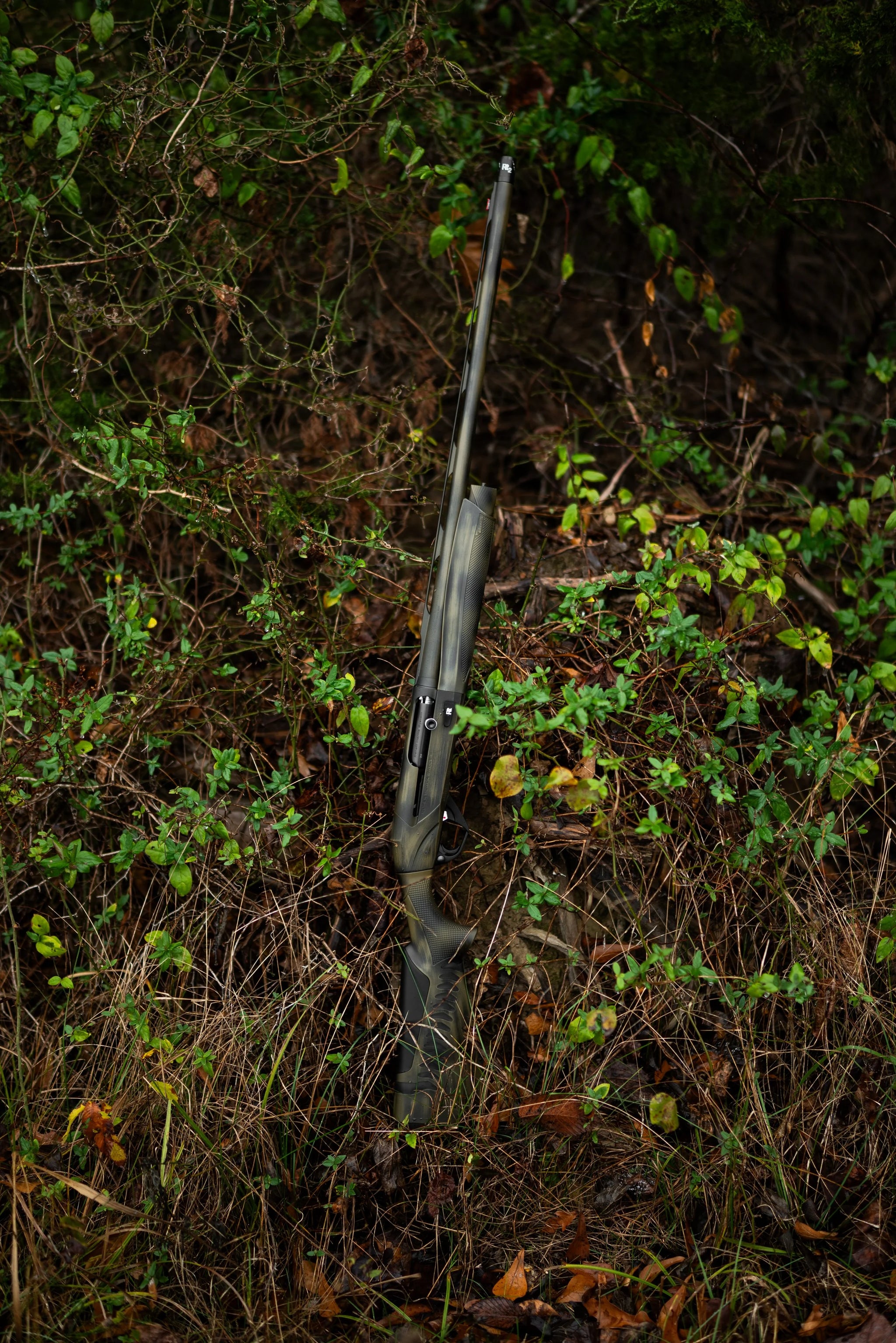 HCH_3643-2.jpg