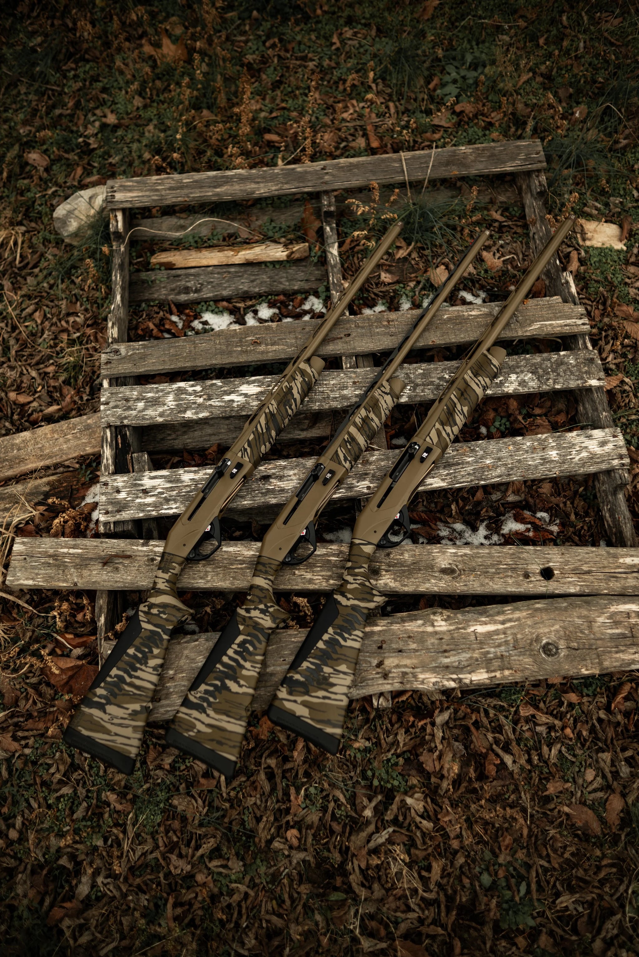HCH_3716-2.jpg