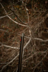 HCH_4431.jpg