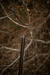 HCH_4431.jpg