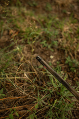 HCH_5493.jpg