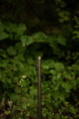 HCH_5508.jpg