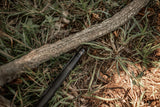 HCH_5577-2.jpg