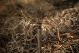 HCH_5830.jpg