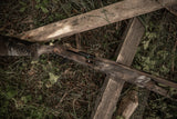 HCH_6041.jpg