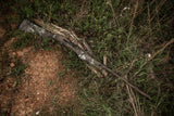 HCH_6073.jpg