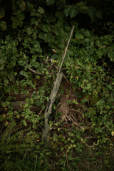 HCH_6433.jpg