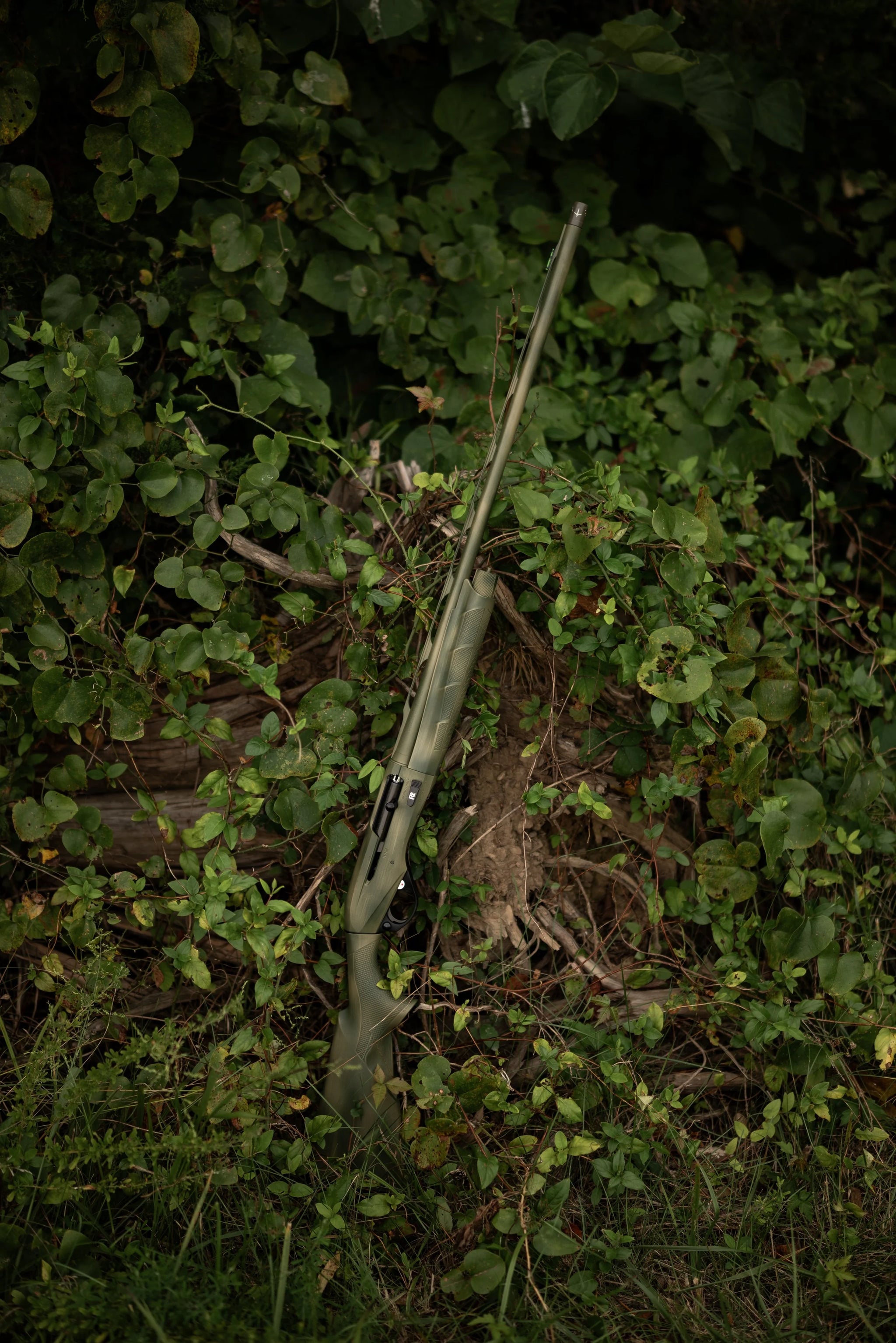HCH_6433.jpg