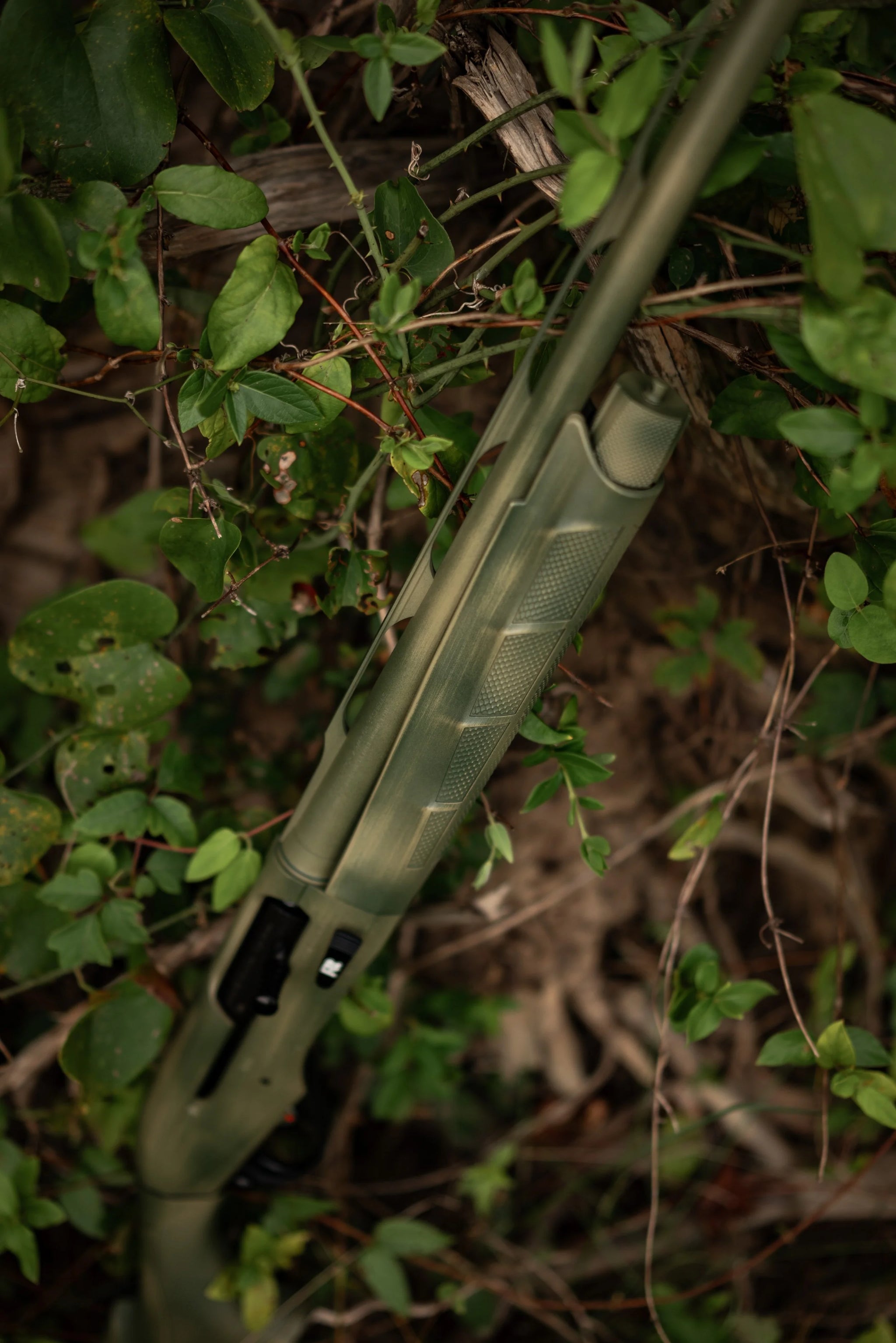 HCH_6435.jpg