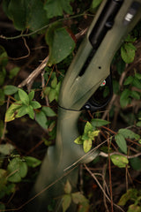 HCH_6437.jpg