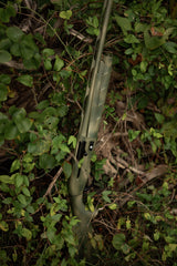 HCH_6438.jpg