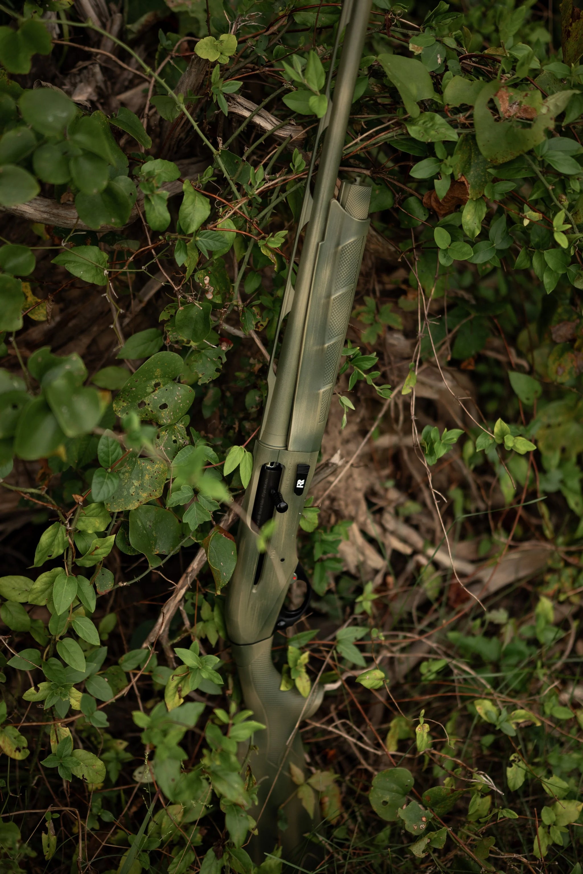 HCH_6438.jpg