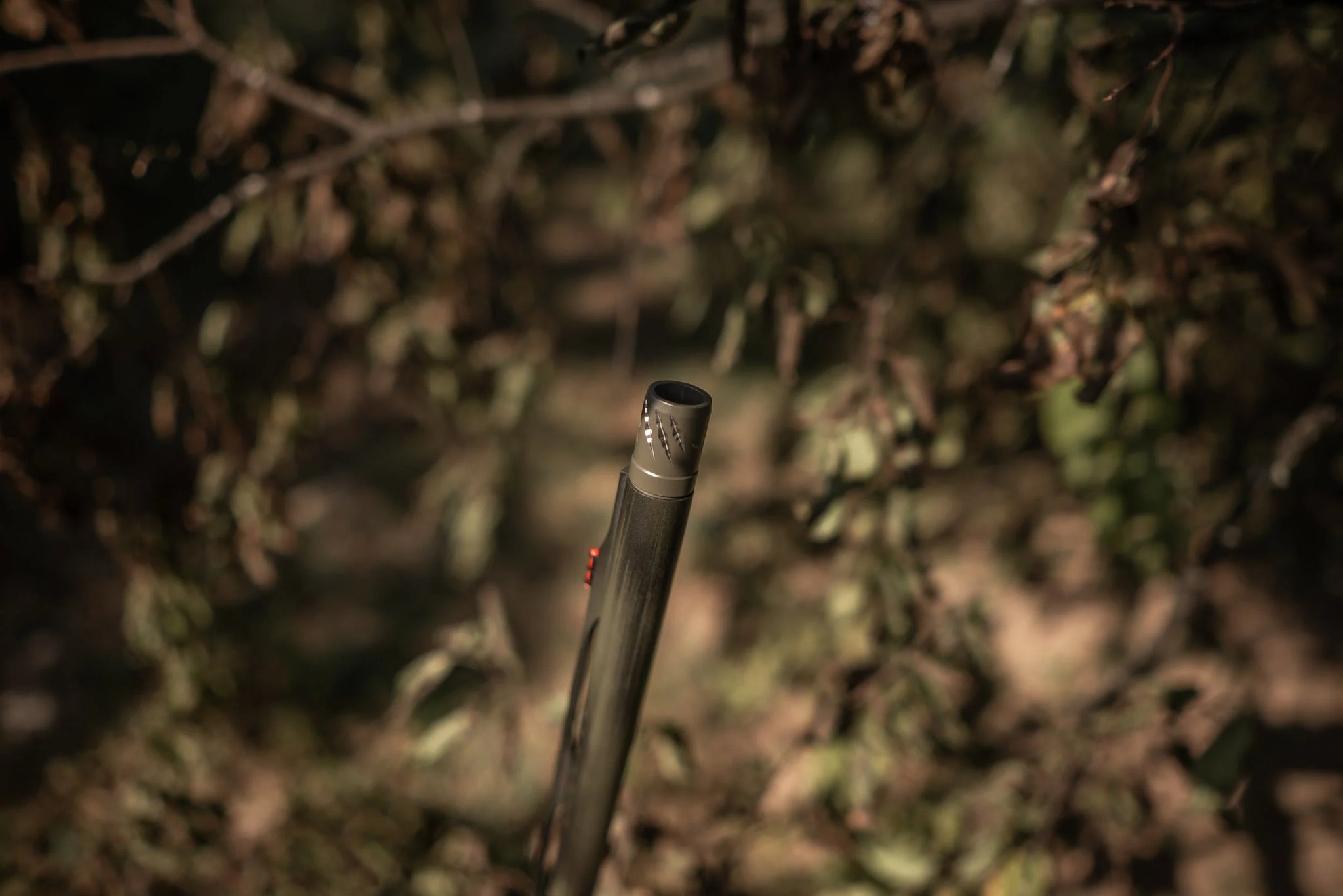 HCH_6550.jpg