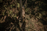 HCH_6551.jpg