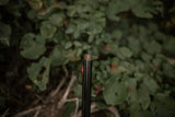 HCH_6561.jpg