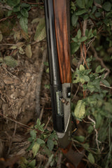 HCH_6562.jpg
