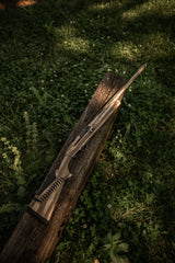 HCH_8846.jpg