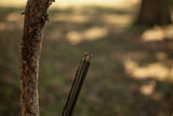 HCH_9580.jpg
