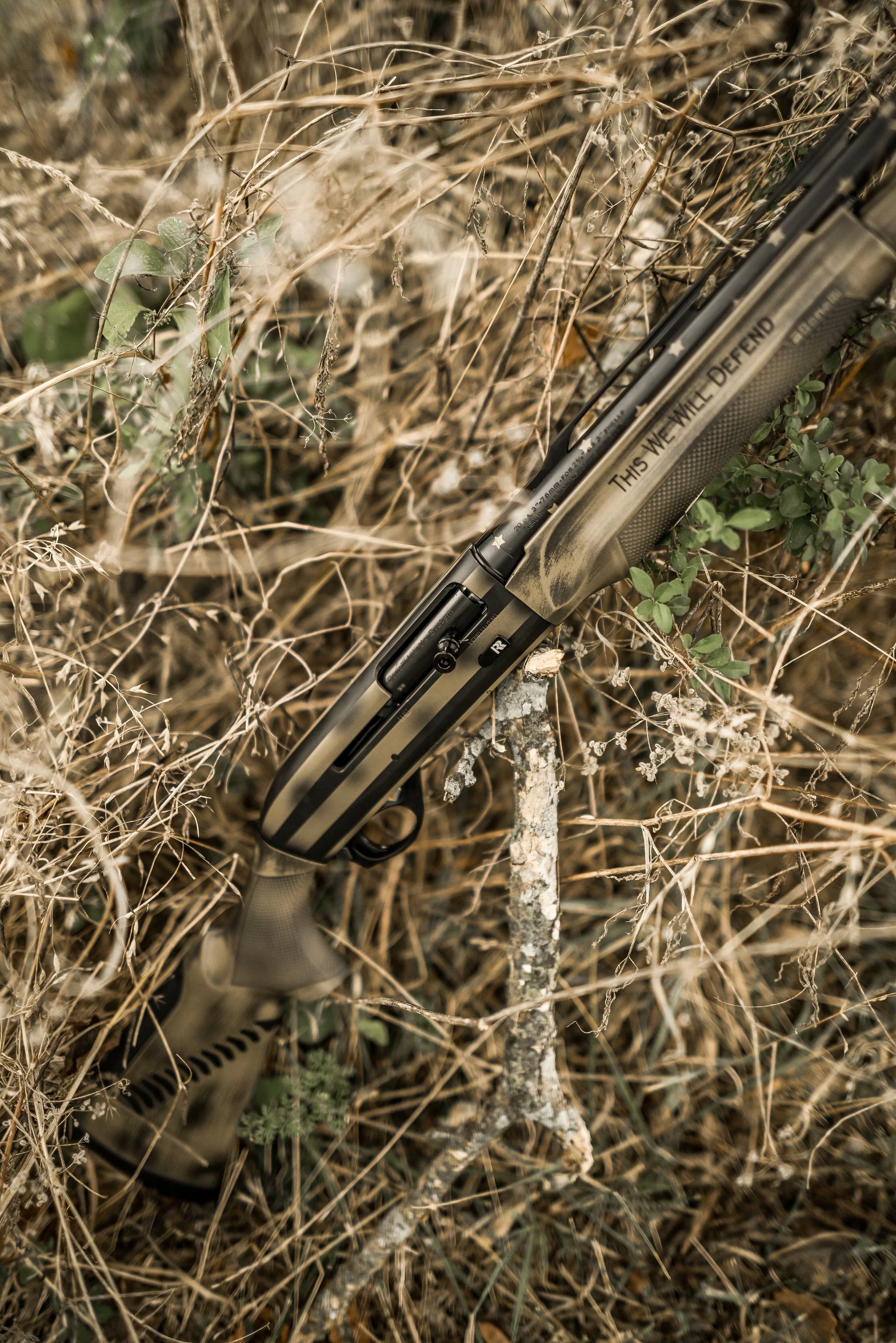Mesquite (2).jpg