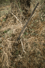Mesquite (4).jpg