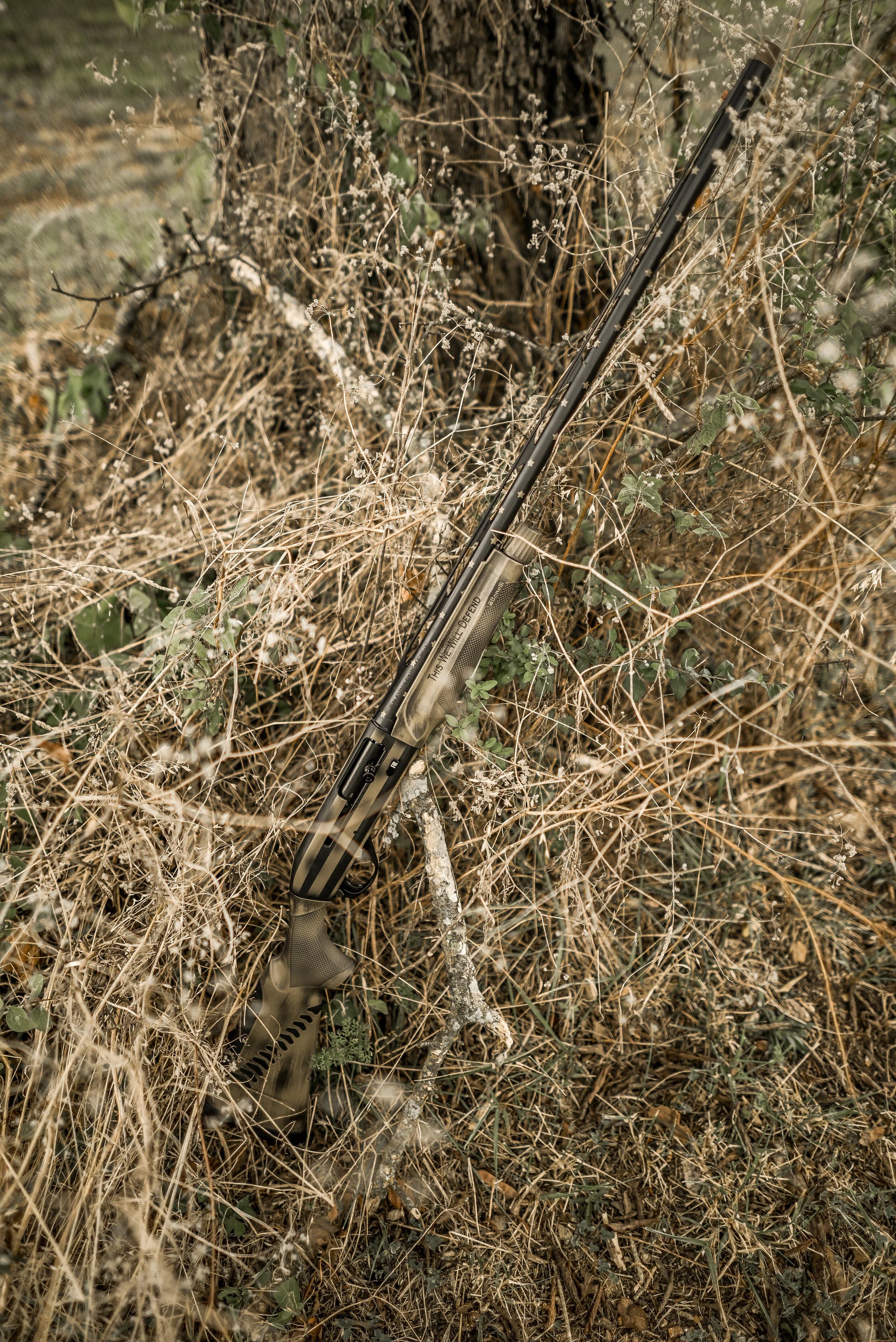 Mesquite (4).jpg
