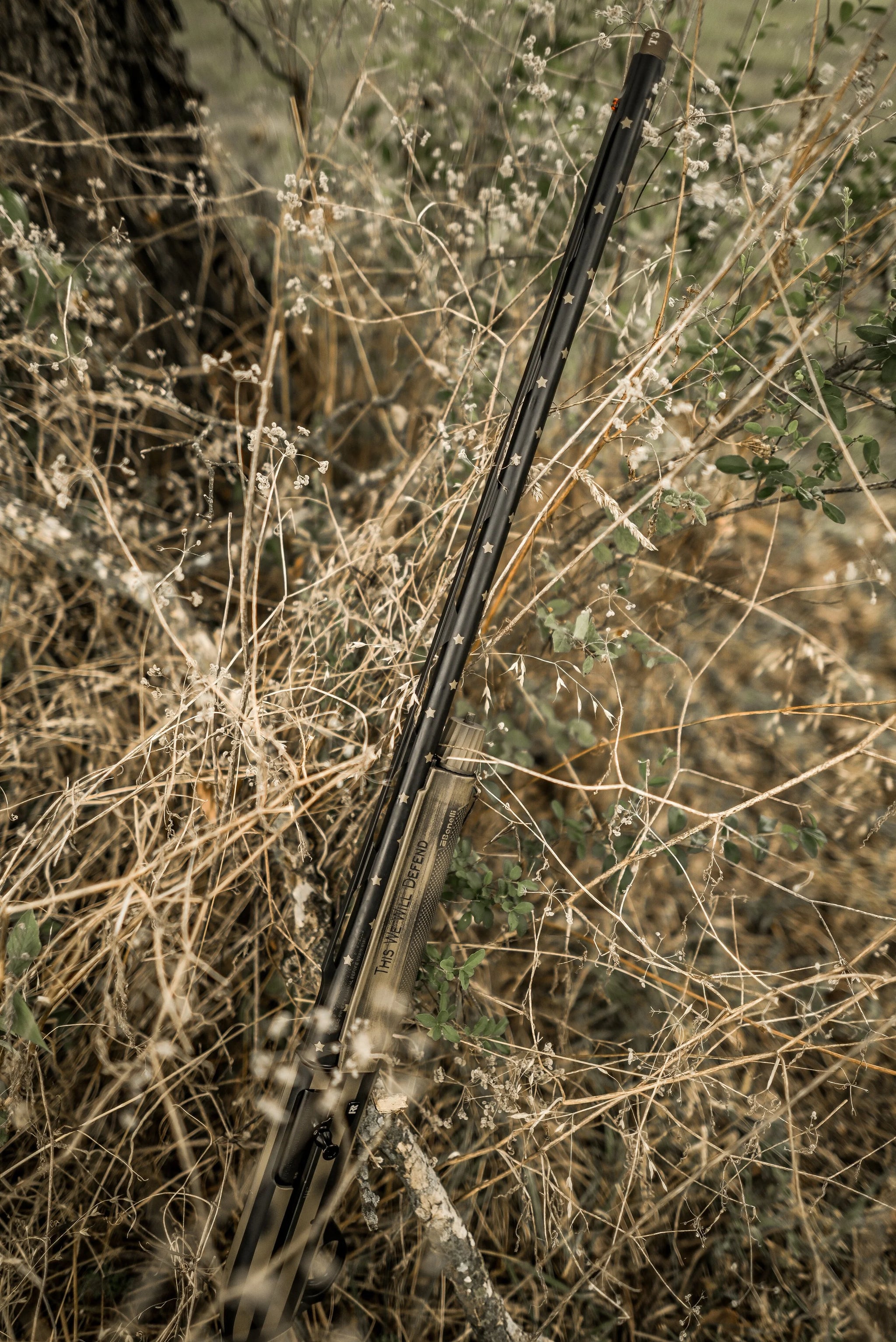 Mesquite (5).jpg