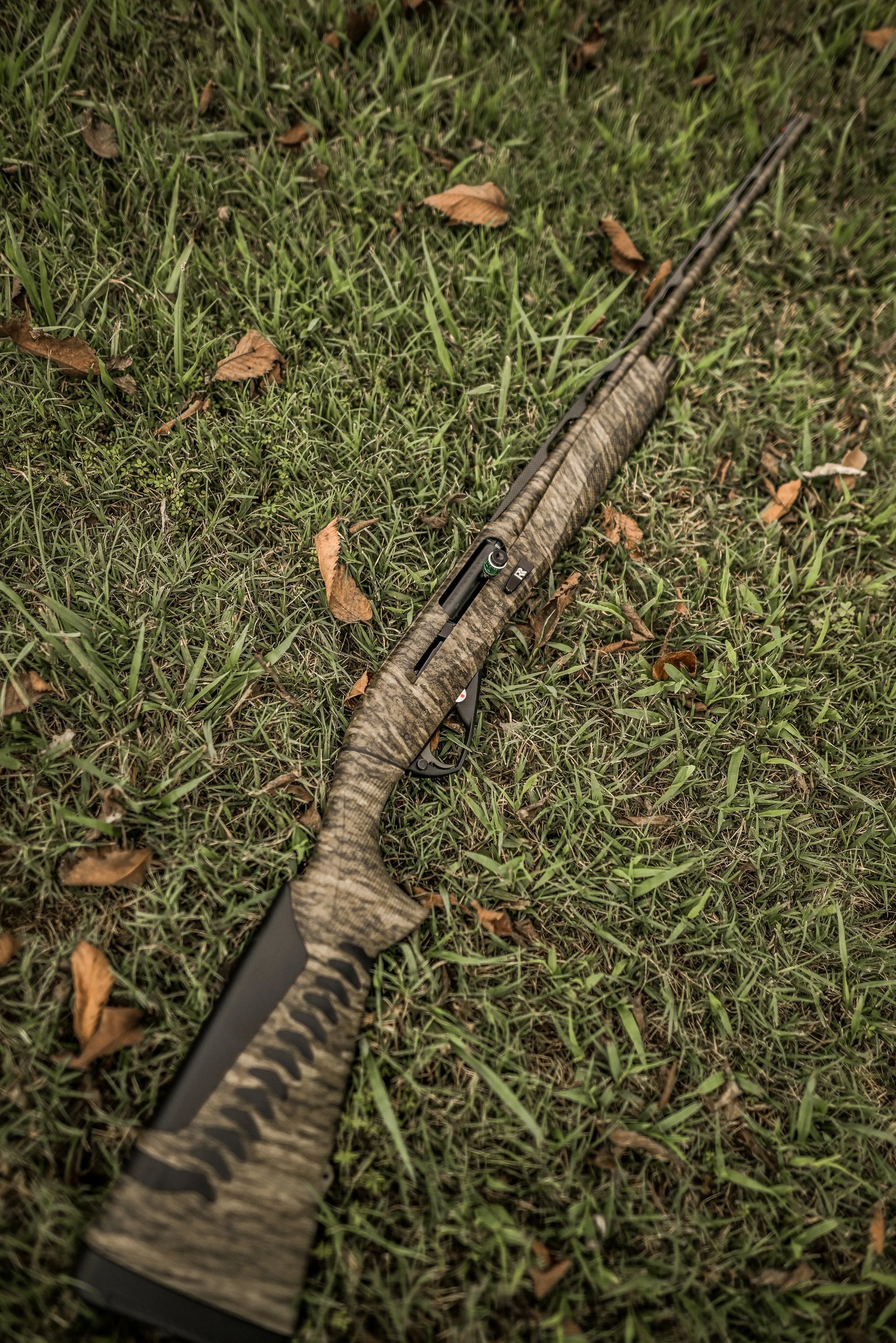 NEW BOTTOMLAND