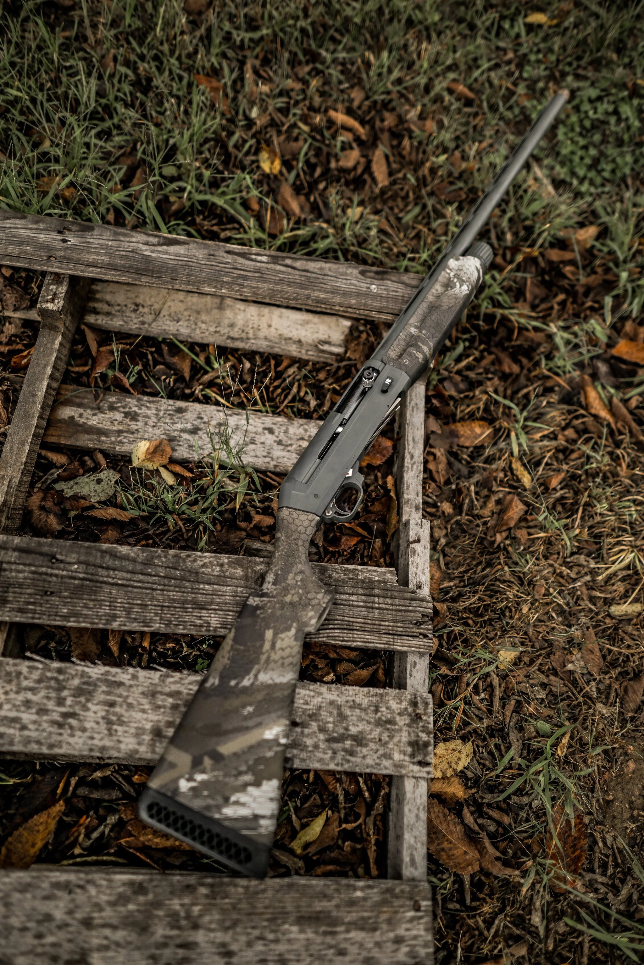 SIG DARK GRAY & SITKA TIMBER