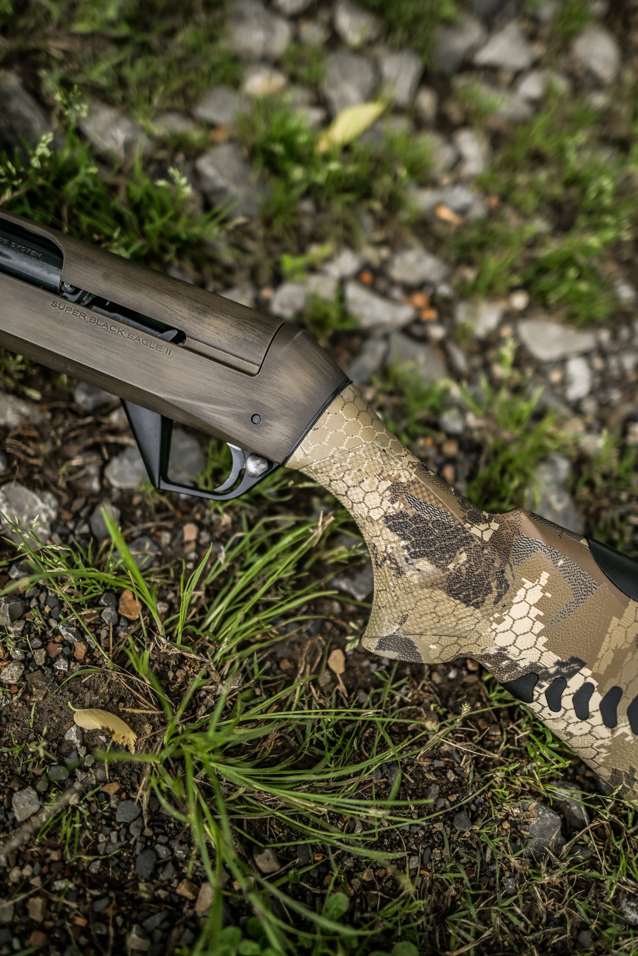 Sitka Sub-Alpine-14.jpg