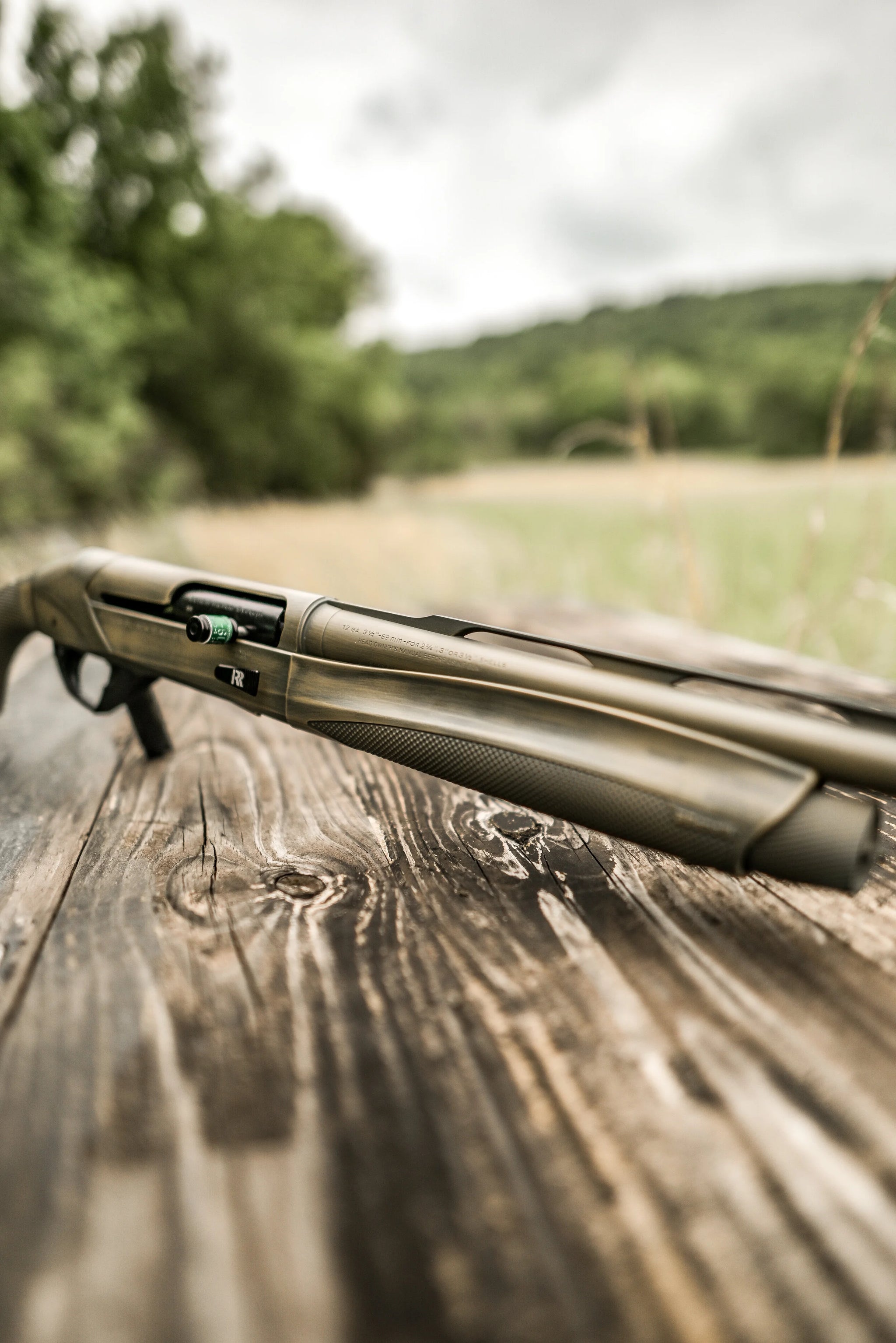 Sitka Sub-Alpine-18.jpg