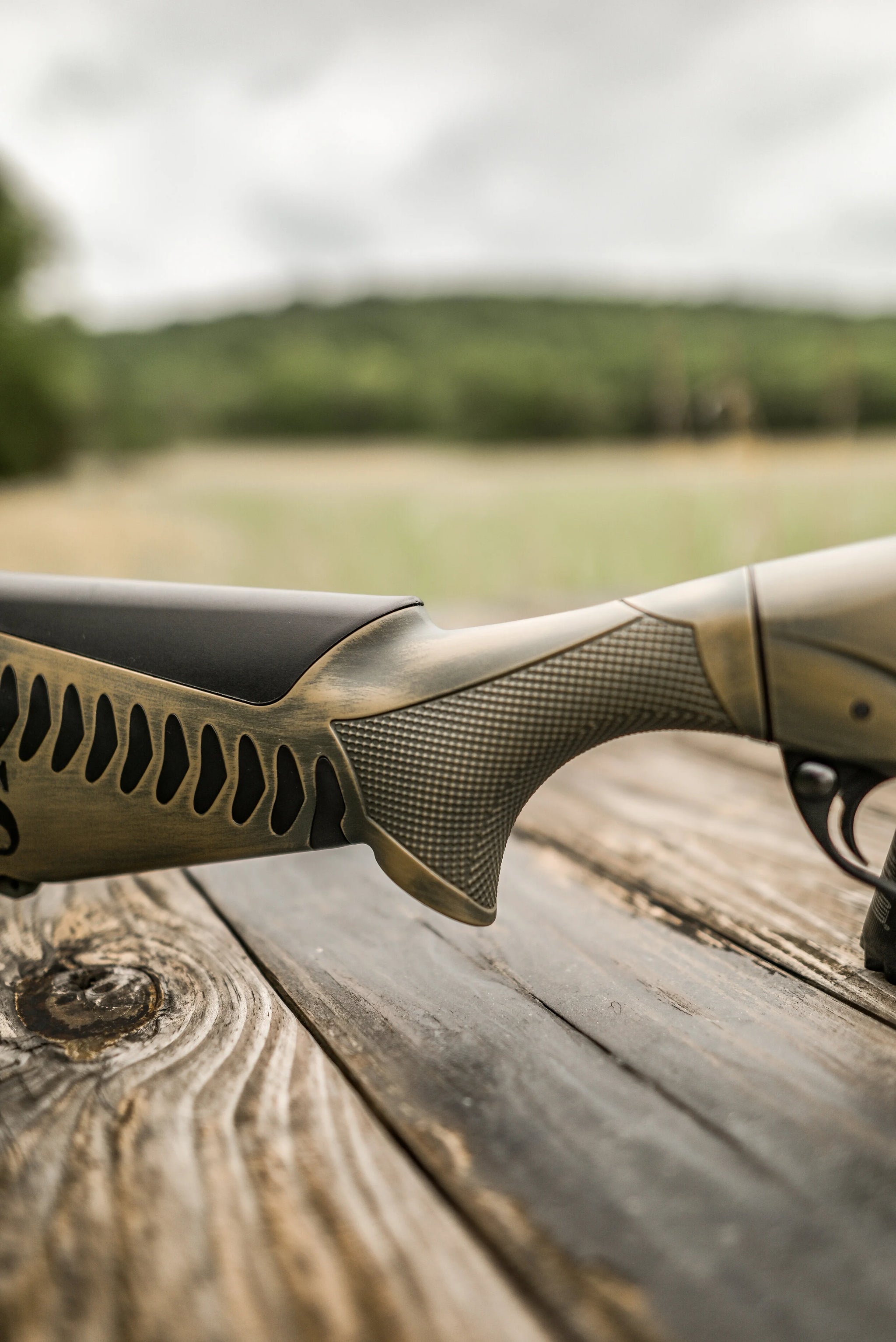 Sitka Sub-Alpine-19.jpg