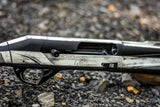 Snow Goose (5).jpg