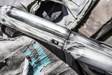 Snow Goose6.jpg