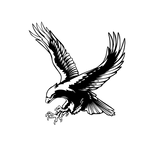 SUPER BLACK EAGLE